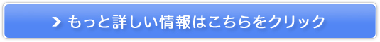 I[KjbNXLPAISorabudoi\uhEj̔TCg